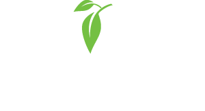 MB Tree Surgery