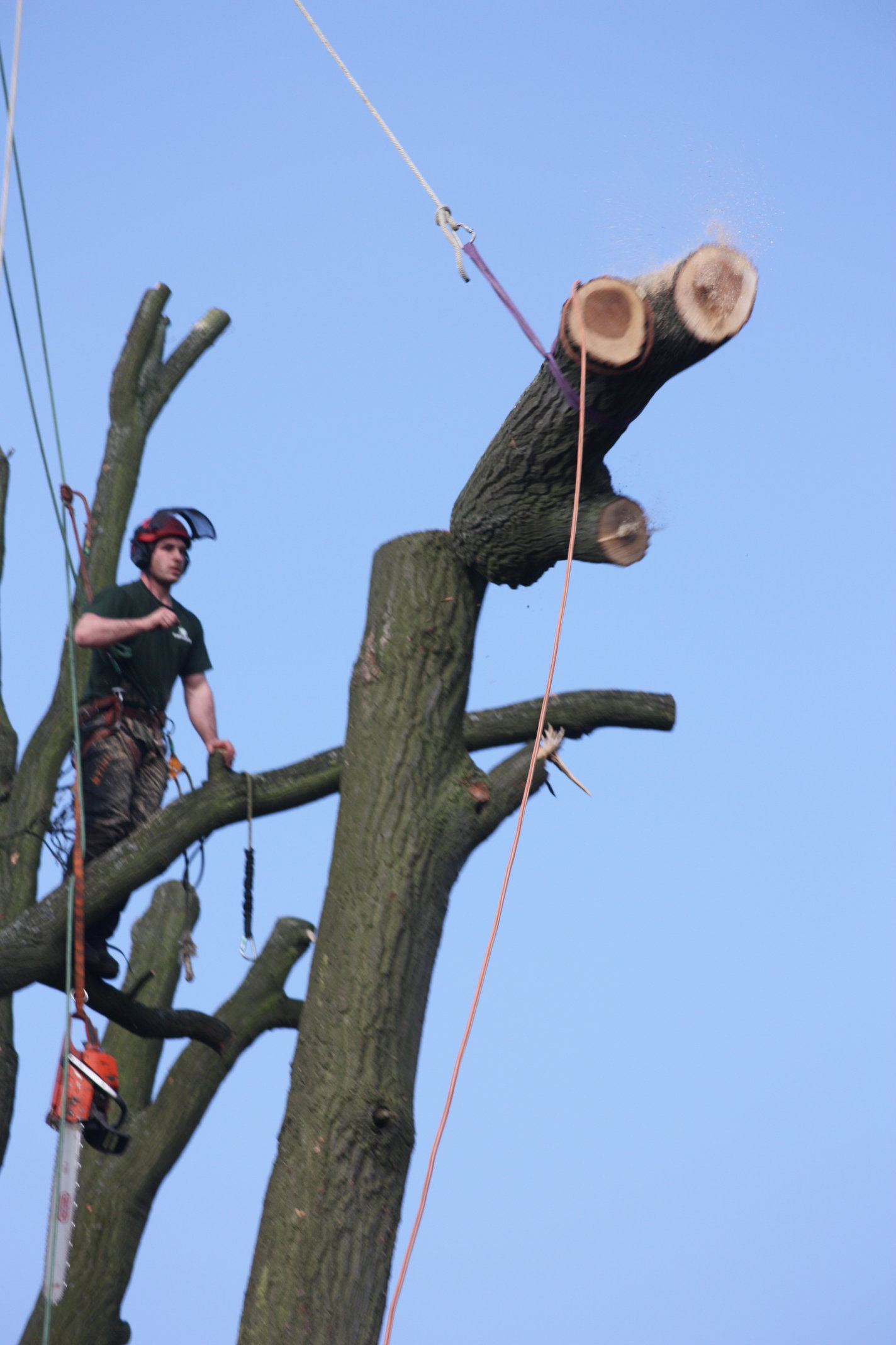 Lowering ropes