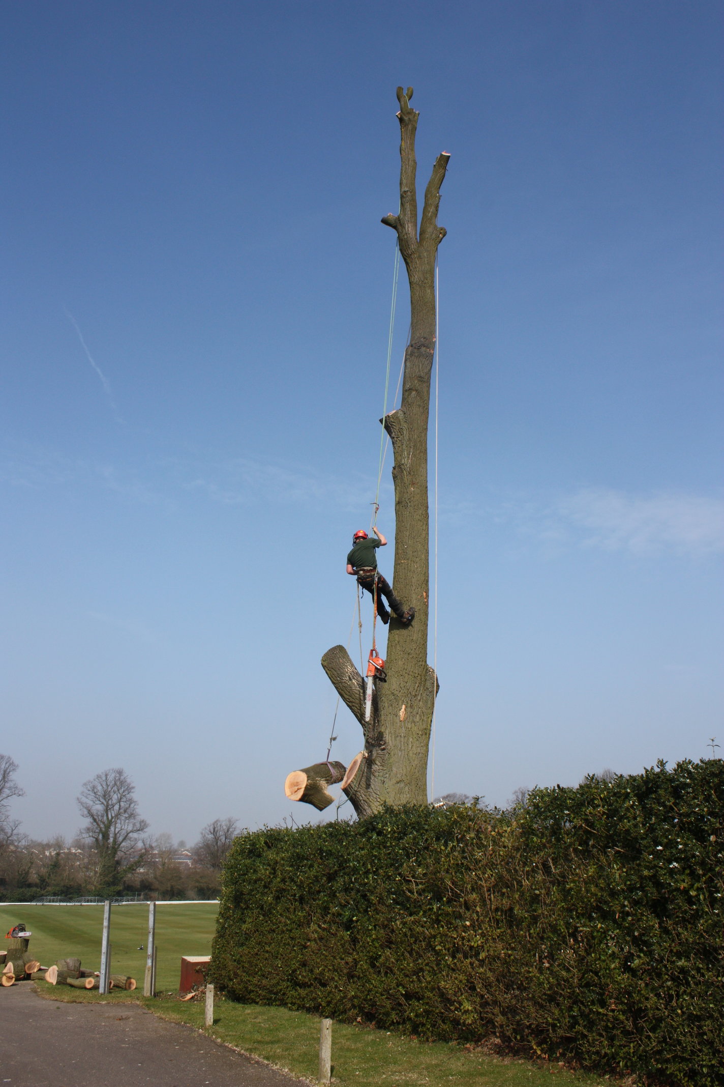 Final limbs being lowered