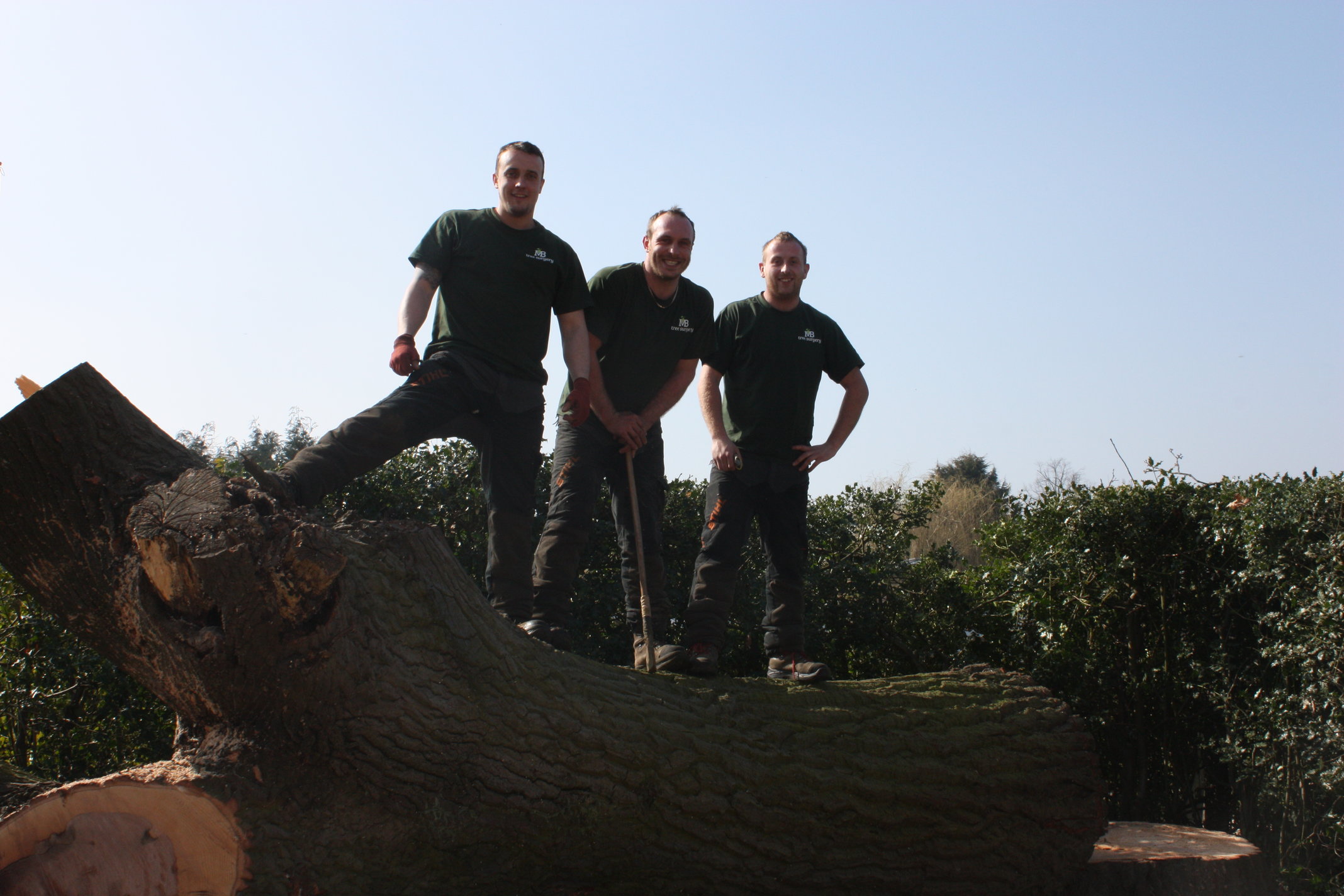 Team MB Tree Surgery